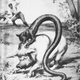 Image for article titled A Field Guide to Cryptids From Europe and Africa